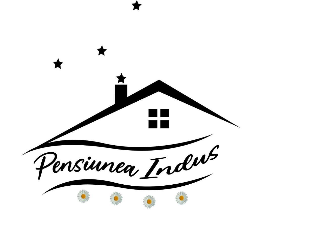 Pensiune Restaurant Indus Окна-Сибьюлуй Экстерьер фото