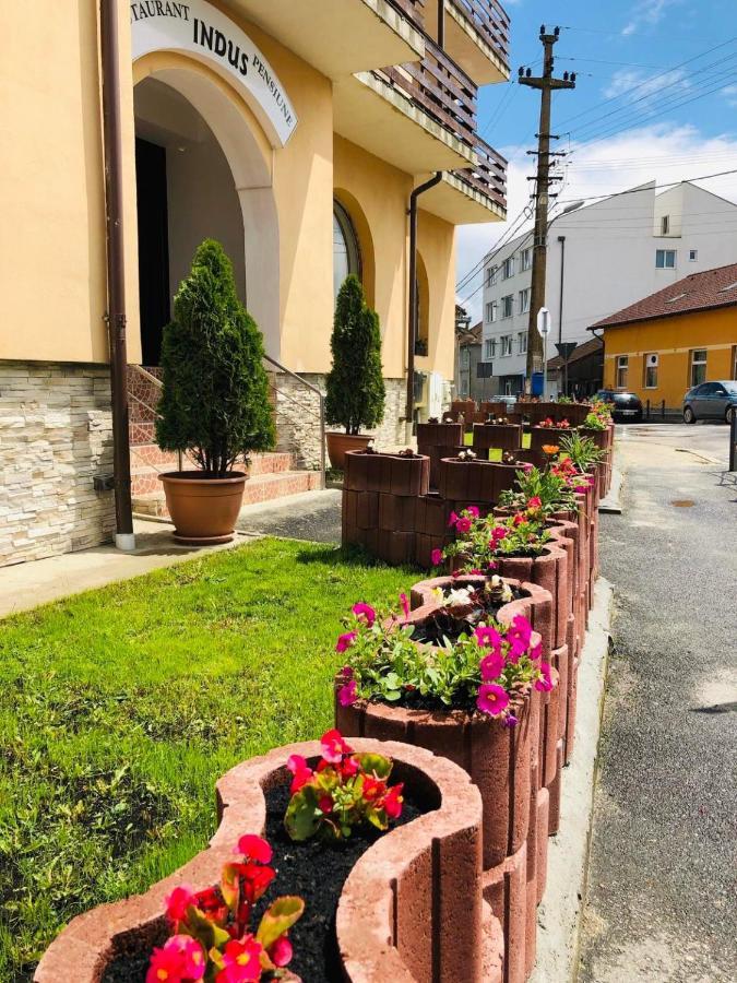 Pensiune Restaurant Indus Окна-Сибьюлуй Экстерьер фото